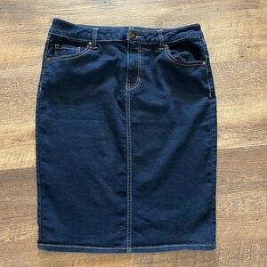 D. Jeans Denim Skirt Women’s 10‎ petite